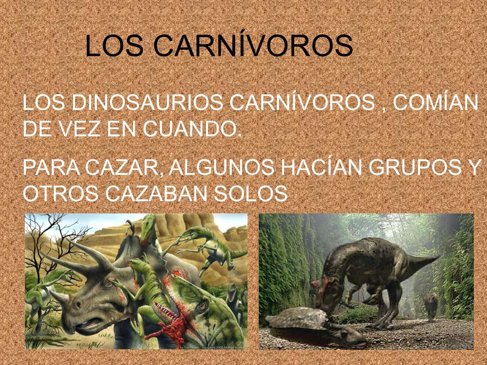Que comian los dinosaurios carnivoros